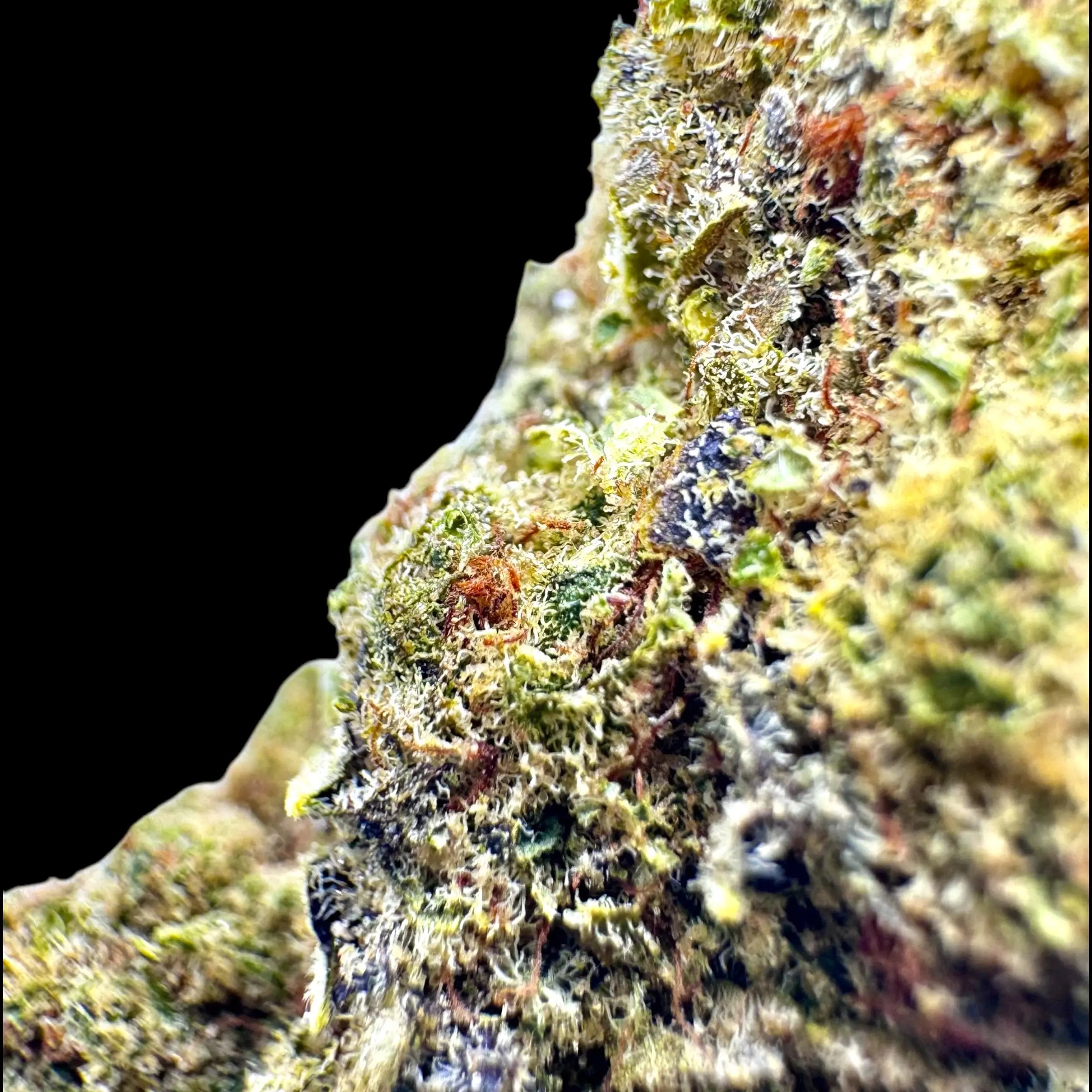Sherbalato UK Premium 22% CBD Flower - DIAMOND GRADE Herbaleyes