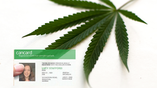Cannabis Cards Set to Revolutionise the World of Medical Cannabis - Herbaleyes
