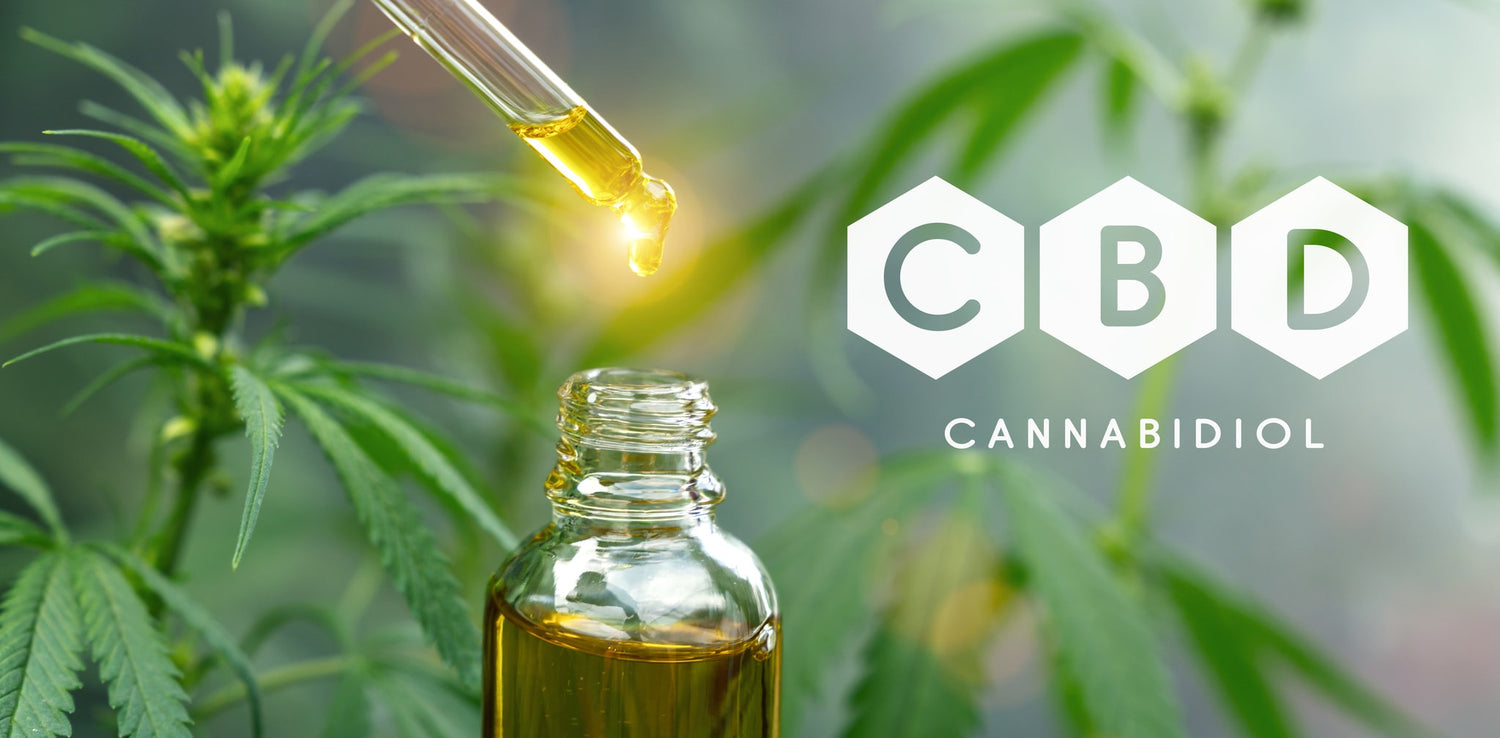 What Is CBD? - Herbaleyes