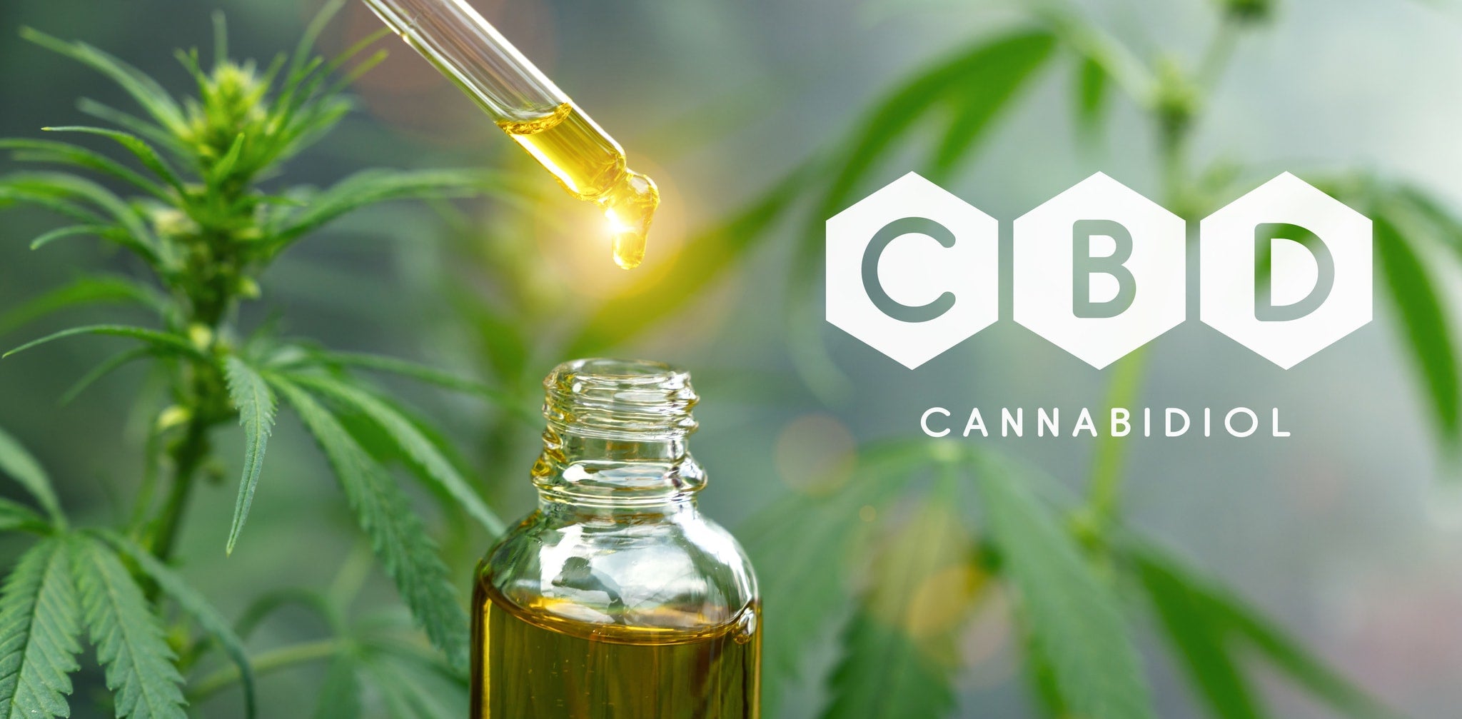 What Is CBD? - Herbaleyes