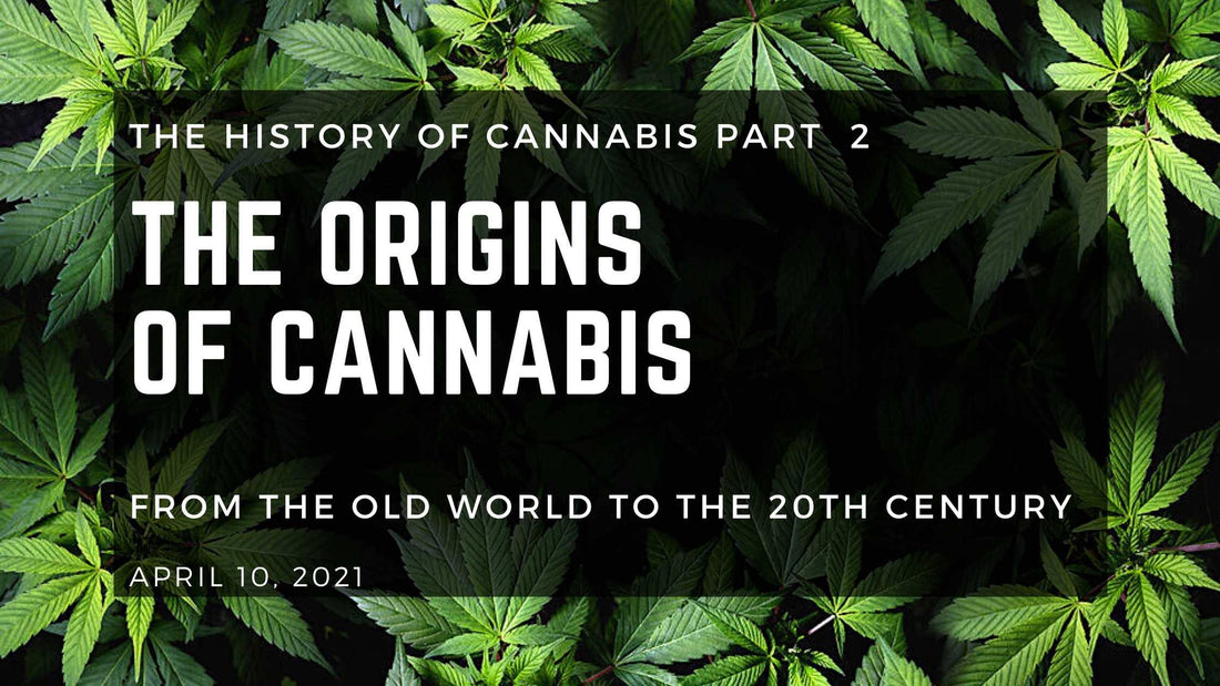 The Origins of Cannabis: From the Old World to the 20th Century - Herbaleyes