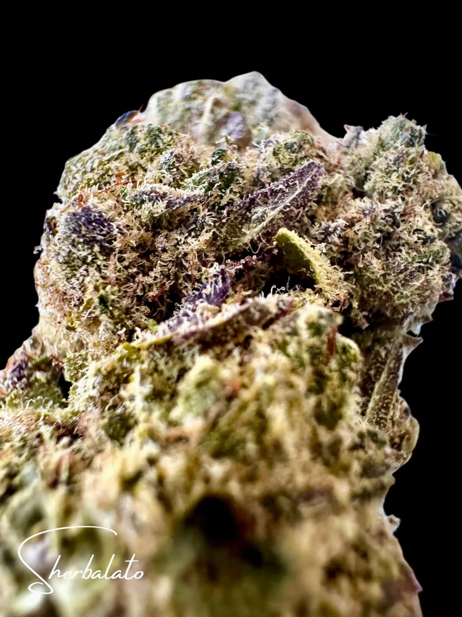 Sherbalato UK Premium 22% CBD Flower - DIAMOND GRADE Herbaleyes