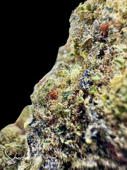 Sherbalato UK Premium 22% CBD Flower - DIAMOND GRADE Herbaleyes