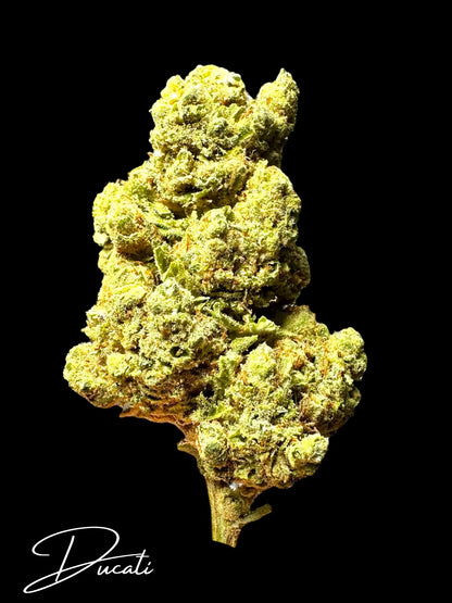 Ducati UK Premium 17% CBD Flower - DIAMOND GRADE Herbaleyes