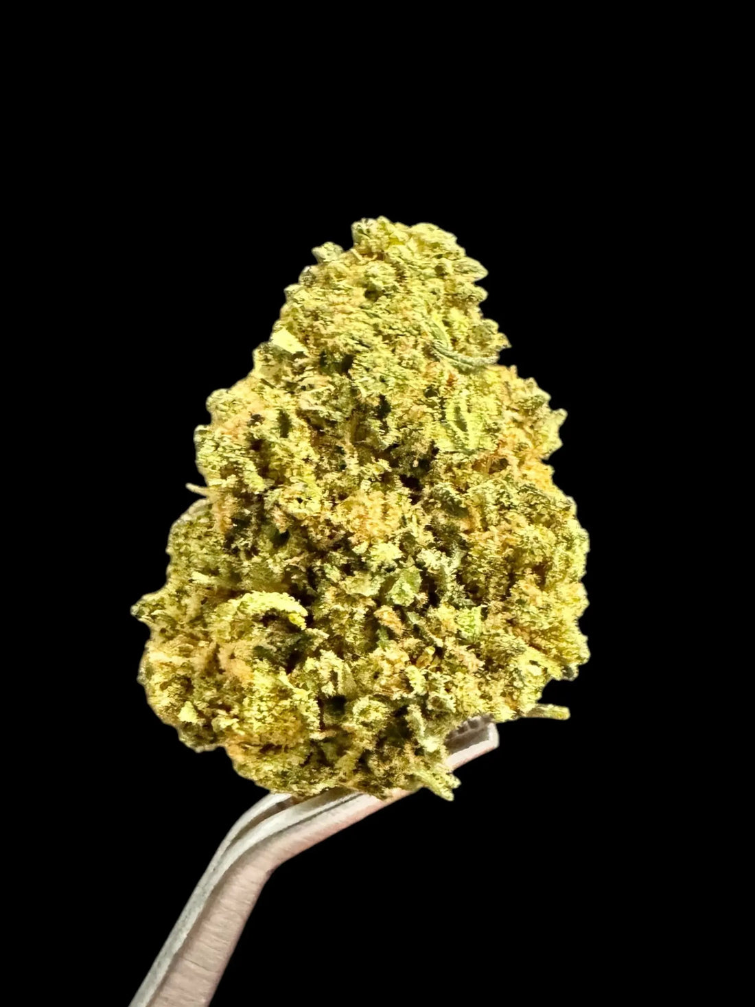 CLEARANCE Blueberry Muffin 16% UK CBD Flower - SILVER GRADE - Herbaleyes