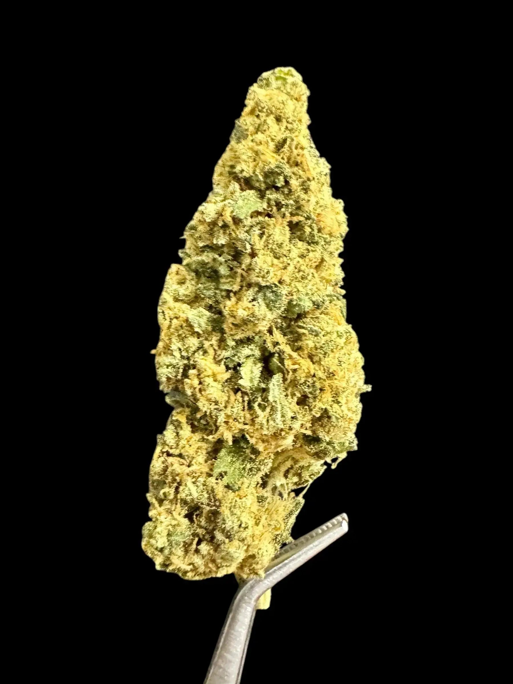 CLEARANCE Amnesia 18% UK CBD Flower - GOLD GRADE - Herbaleyes