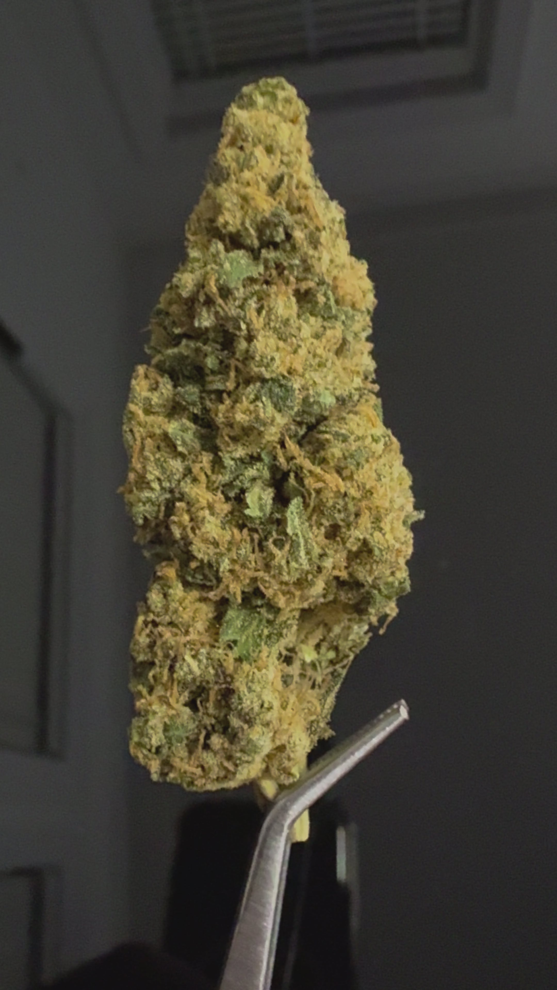 CLEARANCE Chiquita Banana 18% UK CBD Flower - GOLD GRADE